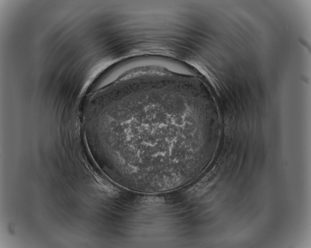 X0000091331115200708311431
