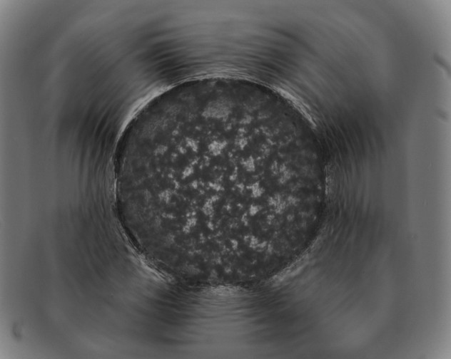 X0000091331117200708311431