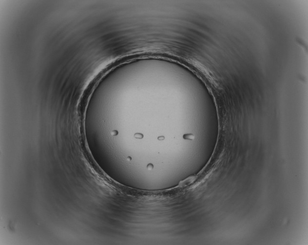 X0000091331118200708311431