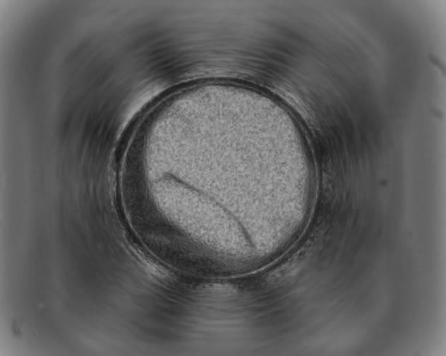 X0000091331119200708311431