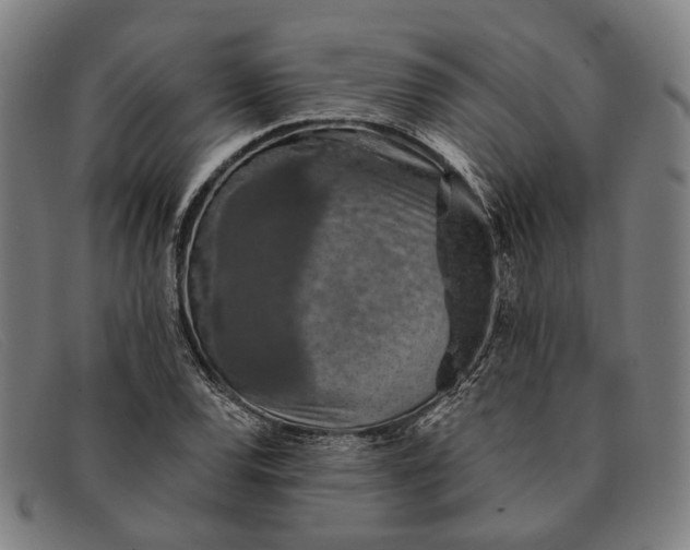 X0000091331120200708311431