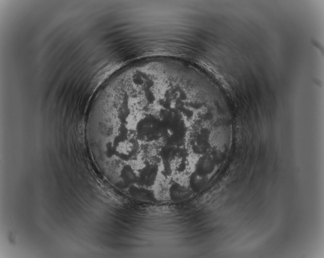 X0000091331121200708311431