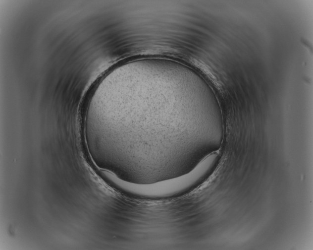 X0000091331122200708311431