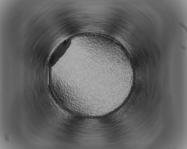 X0000091331123200708311431