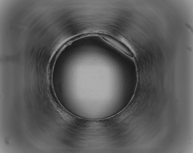 X0000091331124200708311431