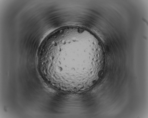 X0000091331125200708311431