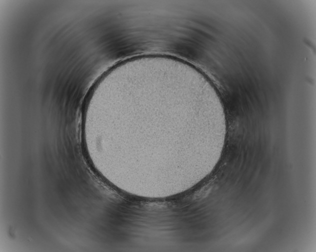 X0000091331126200708311431