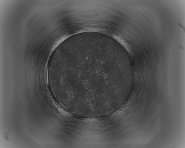 X0000091331127200708311431