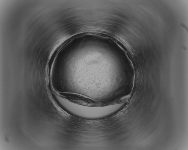 X0000091331128200708311431