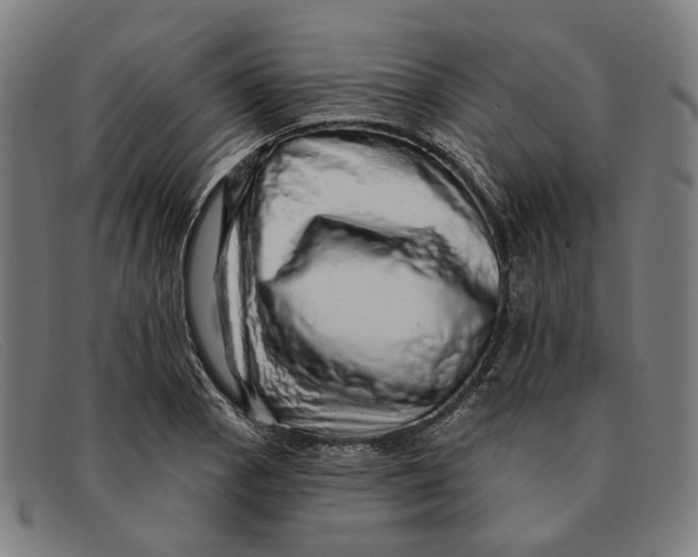 X0000091331129200708311431