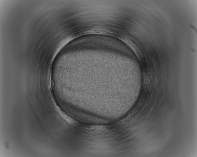 X0000091331131200708311431