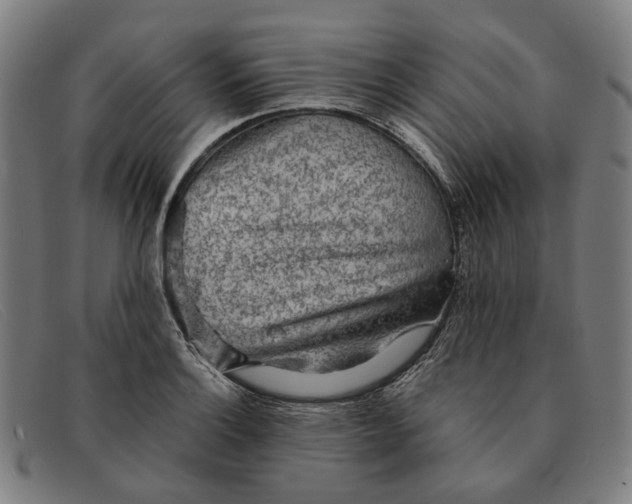 X0000091331132200708311431
