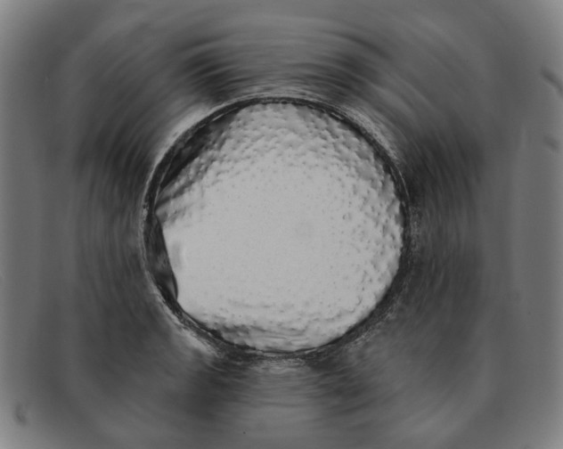 X0000091331133200708311431