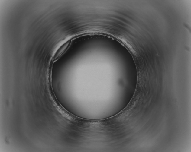 X0000091331134200708311431