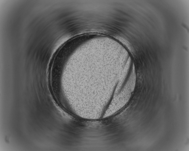 X0000091331135200708311431