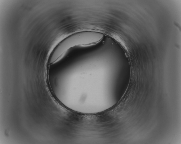 X0000091331136200708311431