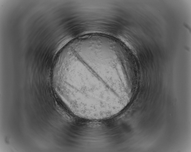 X0000091331137200708311431