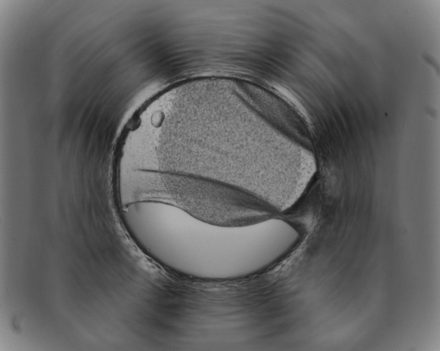 X0000091331138200708311431