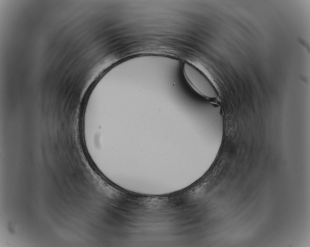 X0000091331139200708311431