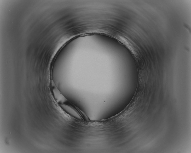 X0000091331140200708311431