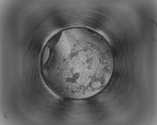 X0000091331142200708311431