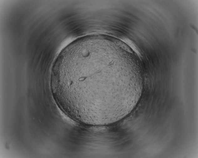 X0000091331143200708311431