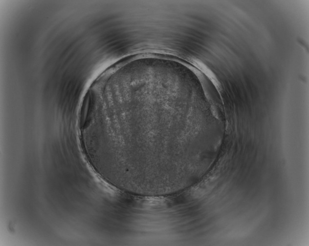 X0000091331144200708311431