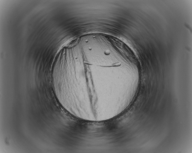 X0000091331145200708311431