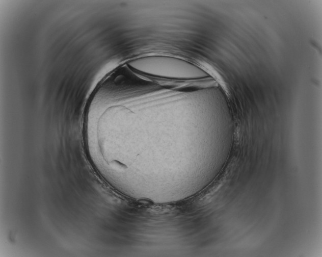 X0000091331146200708311432