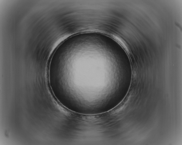 X0000091331149200708311432