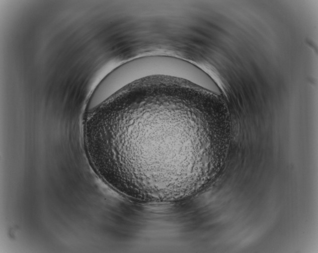 X0000091331151200708311432
