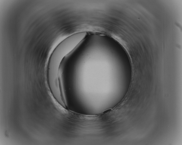X0000091331152200708311432