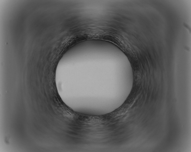 X0000091331153200708311431