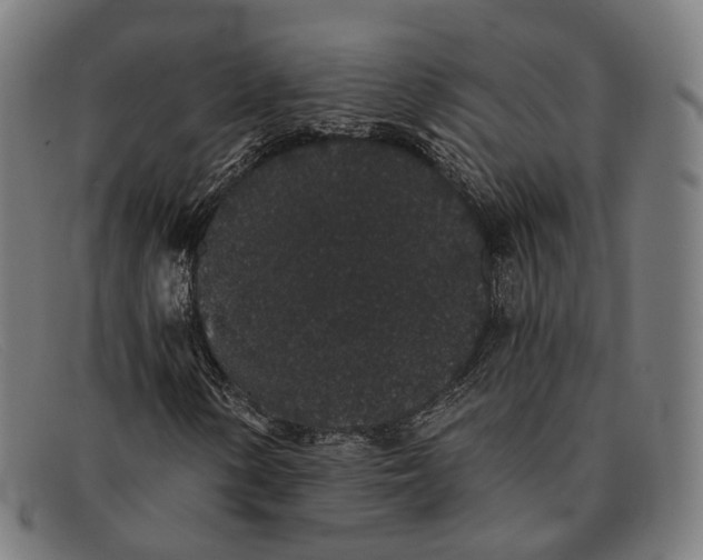 X0000091331154200708311431