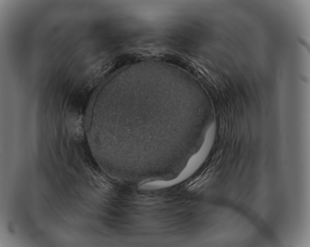 X0000091331156200708311431