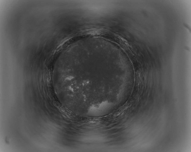 X0000091331158200708311431