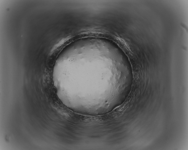 X0000091331159200708311431