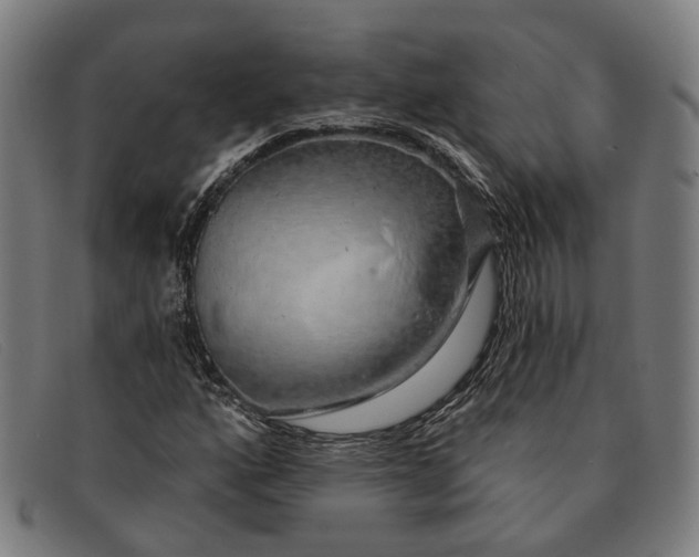 X0000091331160200708311431
