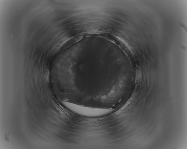 X0000091331161200708311431