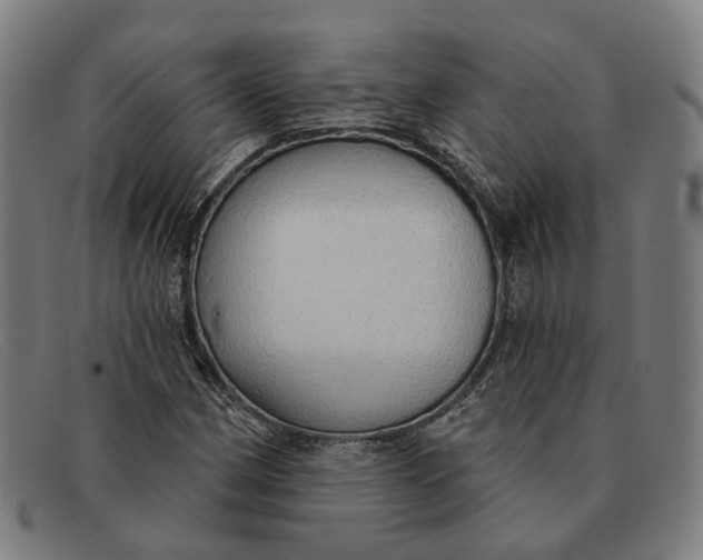 X0000091331162200708311431