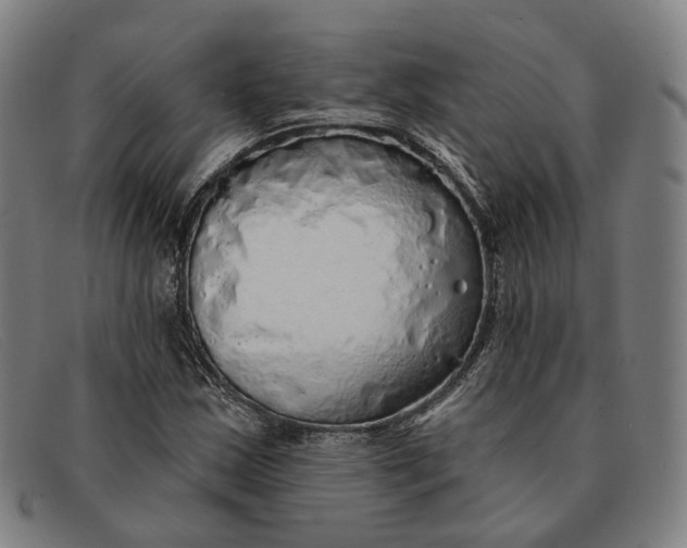 X0000091331163200708311431