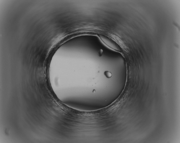 X0000091331164200708311431