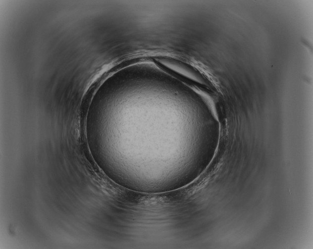X0000091331165200708311431