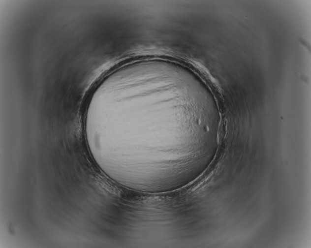 X0000091331167200708311431