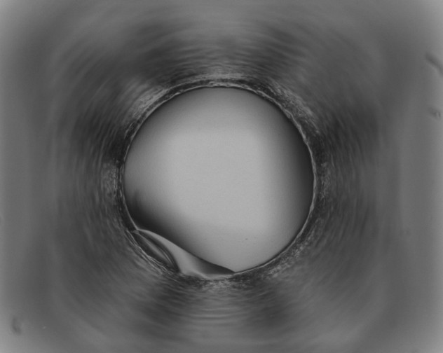 X0000091331169200708311431