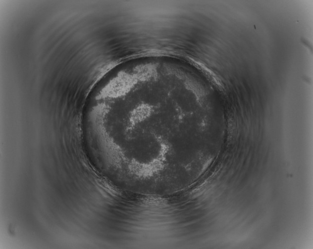 X0000091331170200708311431