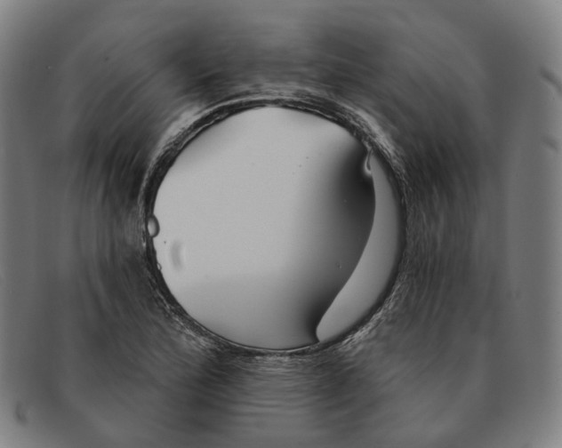 X0000091331172200708311431