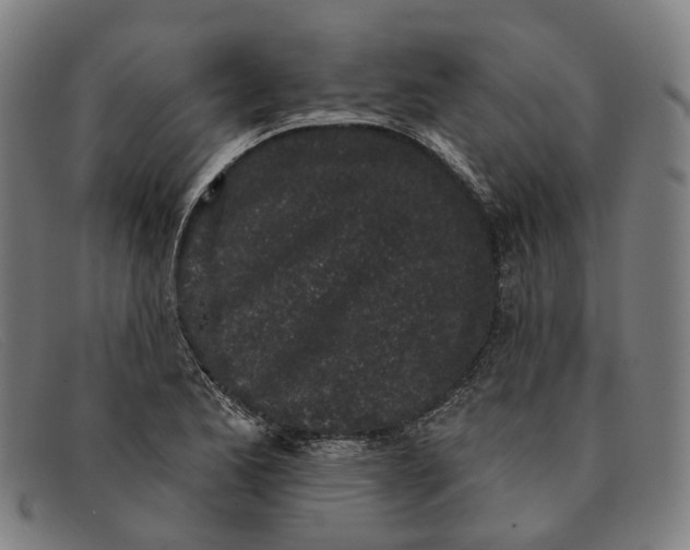 X0000091331173200708311431