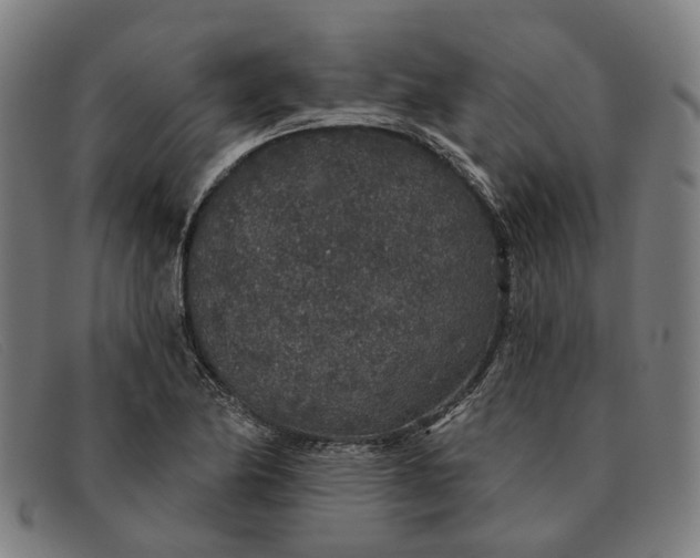 X0000091331174200708311431
