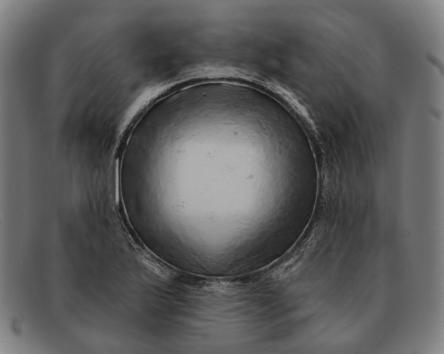 X0000091331175200708311431